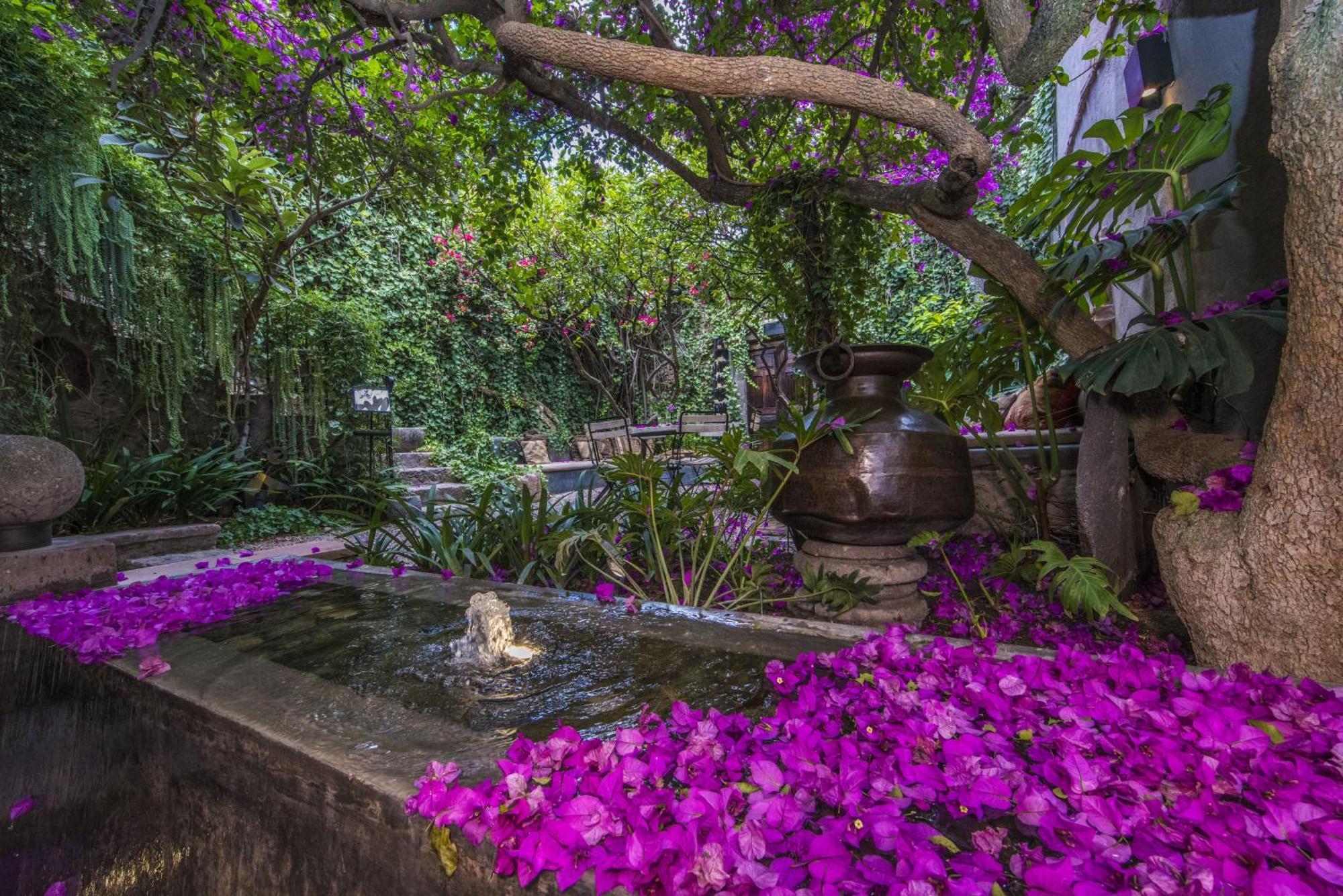 Casa No Name Small Luxury Hotel Σαν Μιγκέλ ντε Αγιέντε Εξωτερικό φωτογραφία