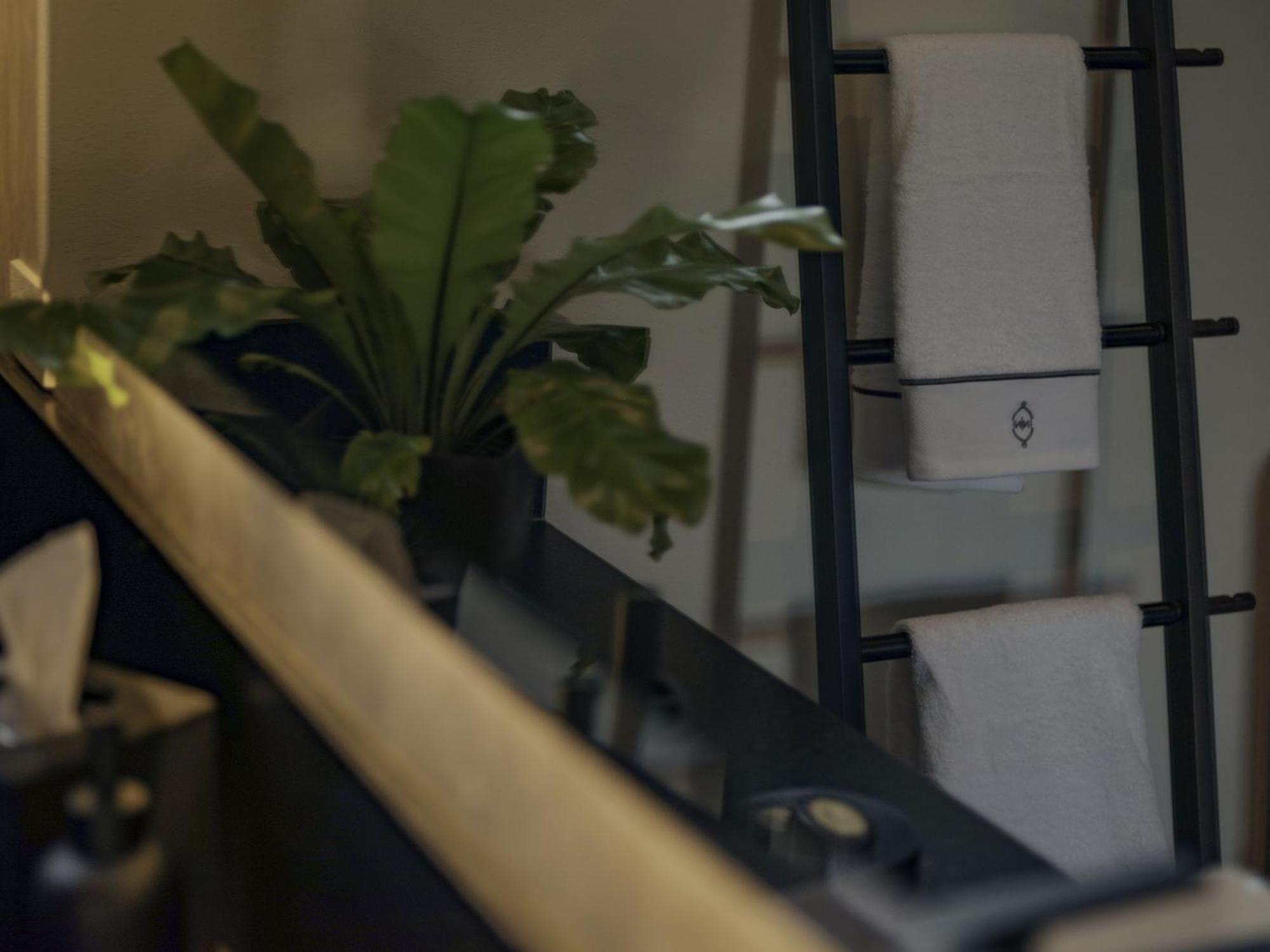 Casa No Name Small Luxury Hotel Σαν Μιγκέλ ντε Αγιέντε Δωμάτιο φωτογραφία