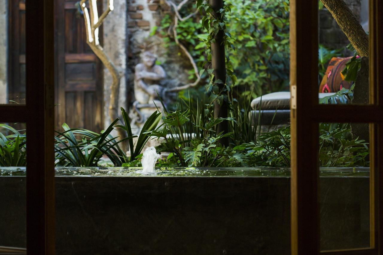 Casa No Name Small Luxury Hotel Σαν Μιγκέλ ντε Αγιέντε Εξωτερικό φωτογραφία